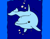 Desenho Golfinho pintado por carol