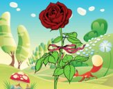 201725/uma-rosa-natureza-flores-1375916_163.jpg