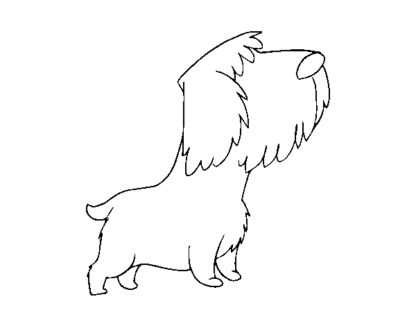 Desenho de Cãozito rueiro para Colorir