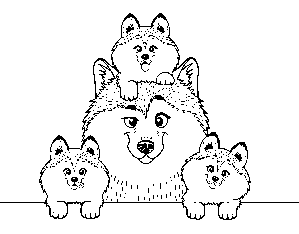 Desenho de Familia Husky para Colorir