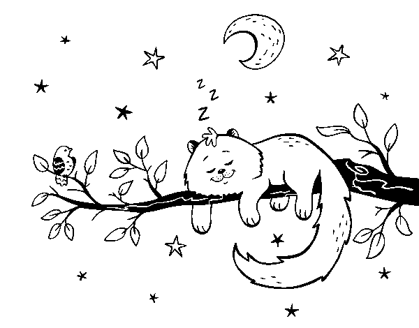 Desenho de O gato ea luna para Colorir