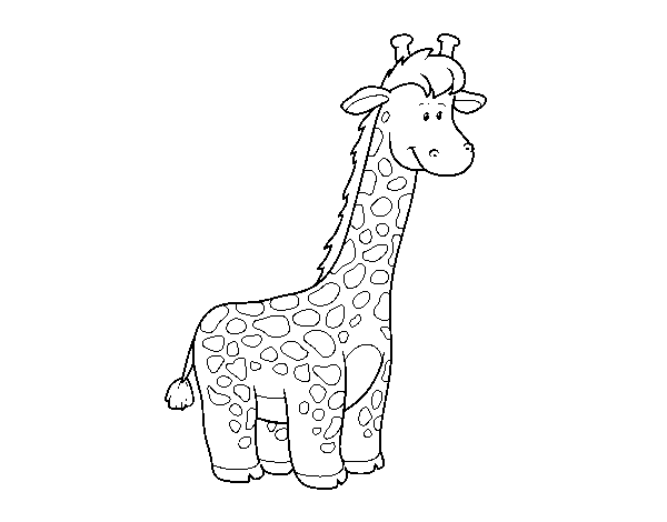 Desenho de Um girafa Africano para Colorir