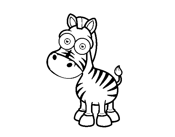 Desenho de Zebra Grévy para Colorir