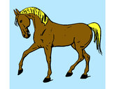 Desenho Cavalo com a pata levantada pintado por Sarah 
