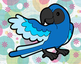 201301/papagaio-abrir-a-asa-animais-a-selva-pintado-por-soso-1028032_163.jpg