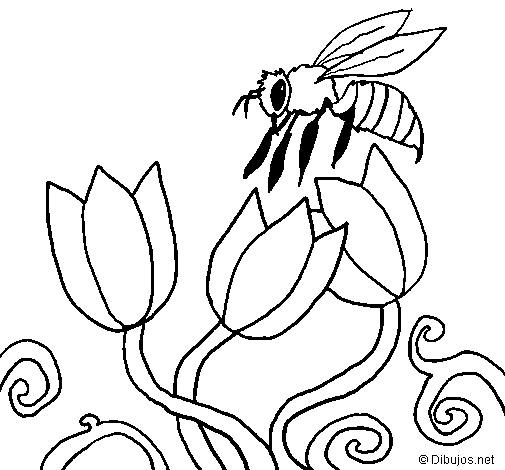 Desenho de Abelha para Colorir