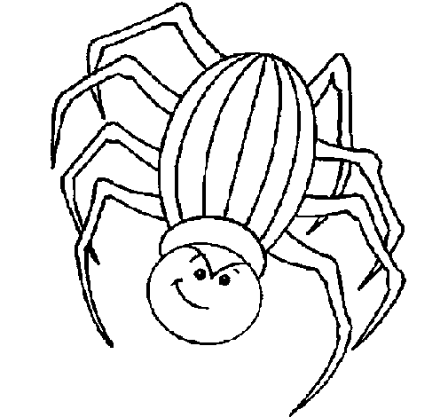 Desenho de Aranha para Colorir