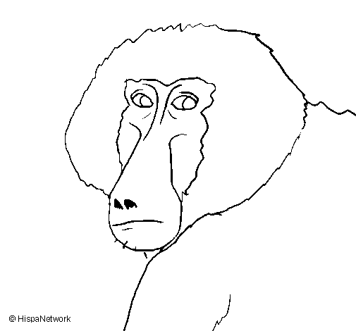 Desenho de Macaco com banana para Colorir - Colorir.com