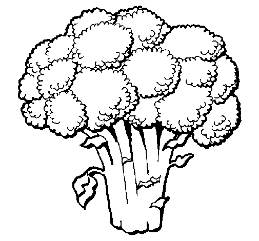 Desenho de Brócolos para Colorir