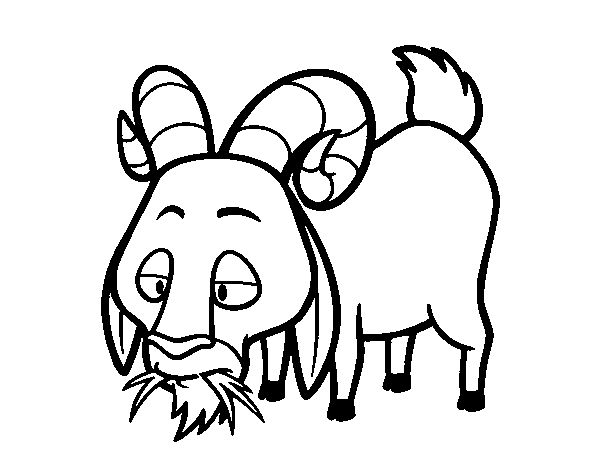 Desenho de Cabra comendo para Colorir