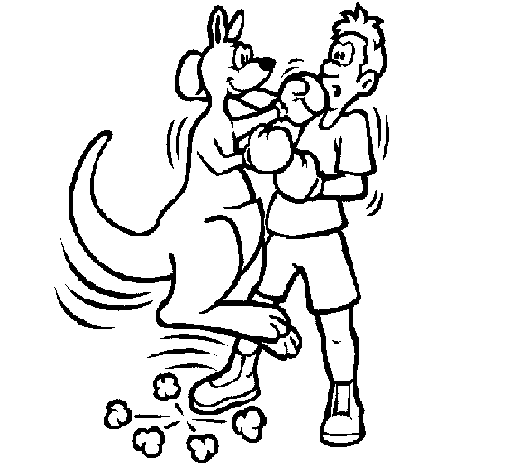 Desenho de Canguro boxeador para Colorir