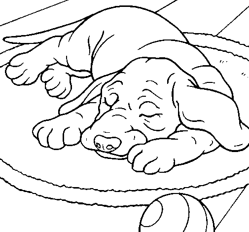 Desenho de Cão a dormir para Colorir