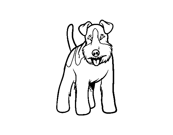 Desenho de Cão Fox Terrier para Colorir