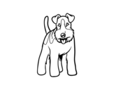 Desenho de Cão Fox Terrier para colorear