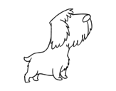 Desenho de Cãozito rueiro para colorear