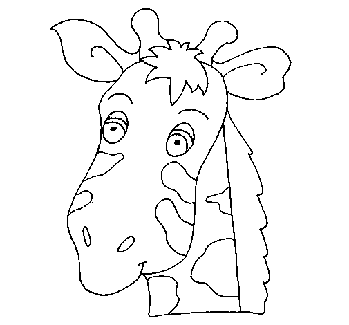 Desenho de Cara de girafa para Colorir