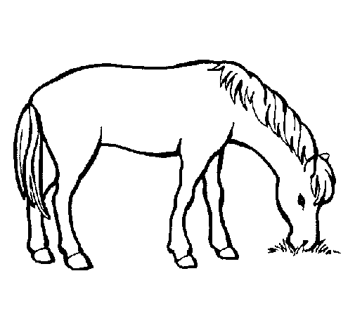 Desenho de Cavalo a comer  para Colorir