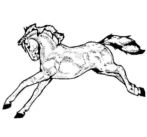 Desenho de Cavalo a correr para Colorir