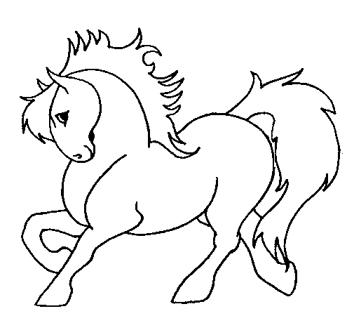 Desenho de Cavalo robusto para Colorir