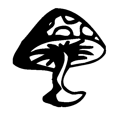 Desenho de Cogumelo venenoso para Colorir