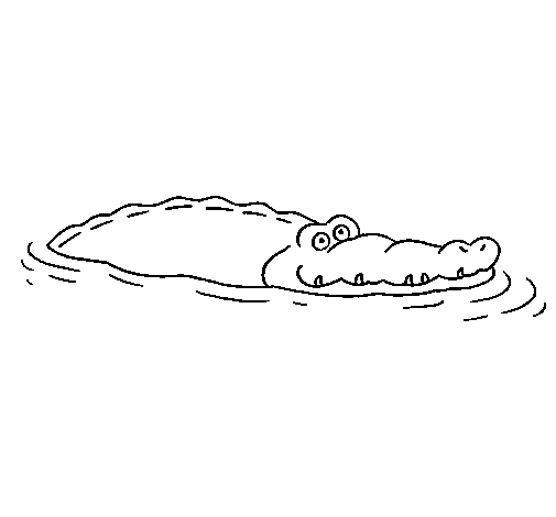 Desenho de Crocodilo 2 para Colorir