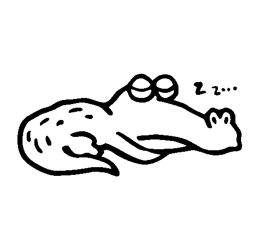 Desenho de Crocodilo a dormir para Colorir