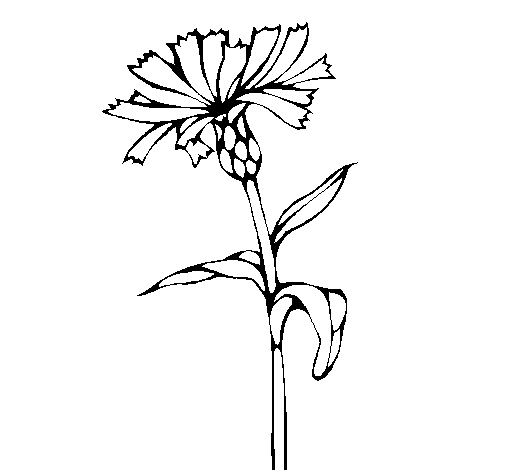 Desenho de Flor 6 para Colorir