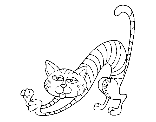 Desenho de Gato por estiramento para Colorir