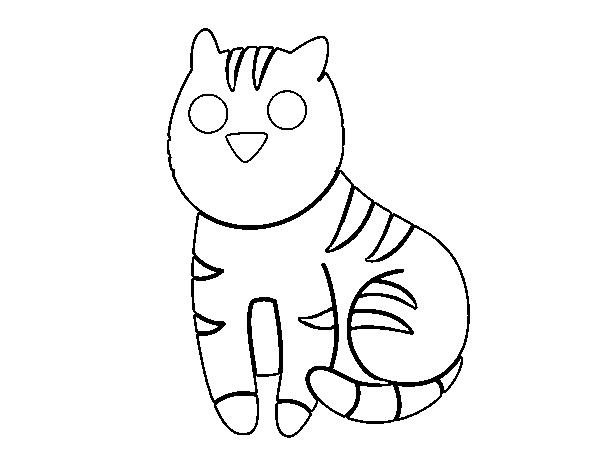Desenho de Gato simpático para Colorir
