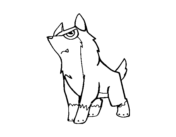 Desenho de Lobo-cinzento para Colorir