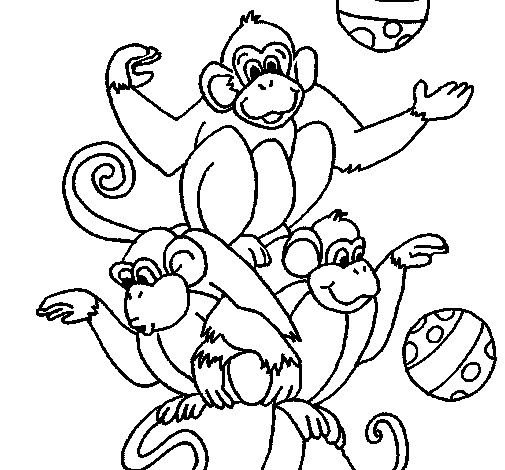 Desenho de Macacos a fazer malabarismos para Colorir