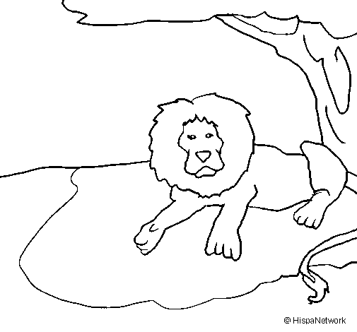 Desenho de O Rei Leão para Colorir