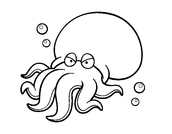 Desenho de Octopoda para Colorir