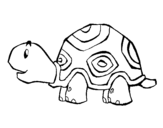 Desenho de Tartaruga contente para colorear