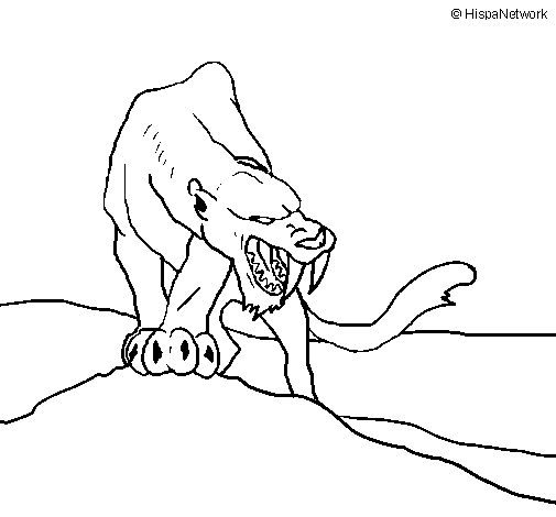 Desenho de Tigre com dentes afiados para Colorir