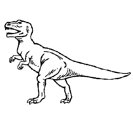 Desenho de Tiranossaurus Rex para Colorir