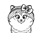 Desenho de Uma gatinha com laço para colorear