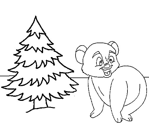 Desenho de Urso e abeto para Colorir