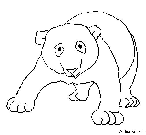 Desenho de Urso panda para Colorir