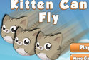 Gatos que voam